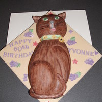 Pussy Cat My attempt at a cat cake