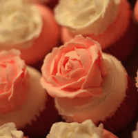 Baby Shower Cupcakes! It's a girl!. These are vanilla cakes with buttercream :)