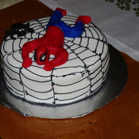 Spiderman's Web 