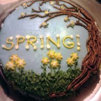 Spring! So this was actually the bottom tier of another cake that i salvaged and re-frosted a light blue due to some failed blue flowers that has...