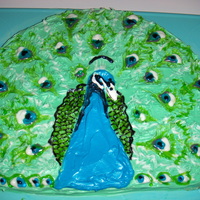 Peacock Cake Cake for the education department of the Milwaukee County Zoo. All this is buttercream frosting and cake icing.