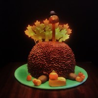 Turkey A little late getting this picture posted! Butter cake with fudge buttercream and fondant accessories.