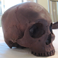 Chocolate Skull 