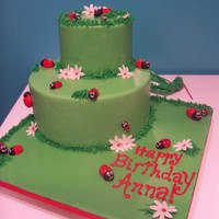 Ladybug Cake Ladybug cake.. Unfortunately this is the only picture I have and it was taken before the cake was completely finished... There were more/...