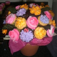 Cupcake Bouquets For Mother's Day This was my first attempt at cupcake bouquets, I made 4 total to give as gifts to family. I still need to work on spacing the cupcakes so...