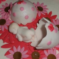 A Baby Girl Has Hatched 12' all BC with Fondant Accents