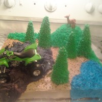 Deer Cake With 4 Wheeler cake with bc frosting made for my brother-in-laws birthday (7)