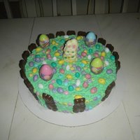 Irish Cream Easter Cake This was a last minute cake that I think came out pretty good.. This cake was an Irish cream cake and it was a big hit at an Easter gala I...