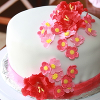 Pink And Red Floral Fondant Cake Final cake for the Wilton Fondant and Gumpaste class. Covered in white fondant with gumpaste flowers.