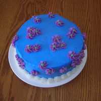 Wilton Level 1, Cake 2 My second attempt for class. I was still trying to figure out how not to get electric colors.