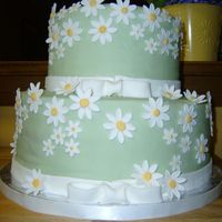 Wedding Shower Cake this was my third cake made! the entire cake was covered in fondant icing, the daisy's were hand made with fondant too! The top tier...