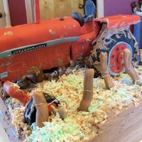 A Muddy Mess This is a birthday cake I did for a friend. It is half german chocolate and half devil's food. The tractor is RKT covered in MMF....