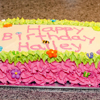 Birthday Cake I'm pretty happy with this cake.It is the first decorated cake I've made in about 14 years!Chocolate cake with chocolate cream...