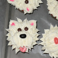 Dog Cupcakes I made these cupcakes for my daughter's birthday celebration in school. It was so much fun to make. My 8 year old put the eyes, nose,...