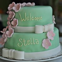 Baby Shower 