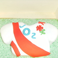 England Rugby Shirt A england rugby shirt