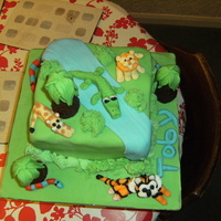 Animal Cake This is my first animal cake the hardest bit was the animals