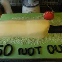 Cricket Bat Cricket bat first time doing one