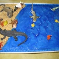 Ocean Cake I made this OCEAN cake for my son's 7th birthday. I covered it with blue buttercream and then put a thin layer of blue piping gel over...