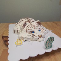 Siberian Tiger Cake This is a white and chocolate marble cake with a whipped frosting.