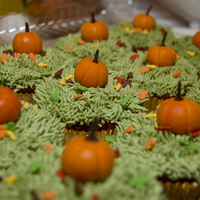 Pumpkin Patch Cupcakes I donated 2 dozen home made cupcakes to an auction to benefit a children's center Last Oct. 2009. The winner of the cupcakes cashed in...