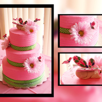 Butterfly Baby Shower Cake This is my first tiered cake. Chocolate with blackberry filling iced in home made BC icing. The colors were chosen by the girl throwing the...