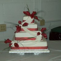 Square Wedding square 4 tier all edible except bear grass and ribbon