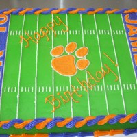 Clemson Tigers Football Field Clemson Tiger fan