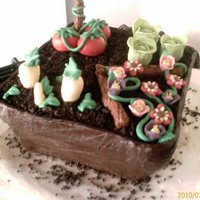 Flower Pot I did this cake for a landscaper friend of mine..she loved it.i used crushed oreo for dirt, the pot holds fondant cabbage,pasnips, tomatoes...
