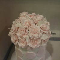 Comin' Up Roses This was my county fair entry this year. I won 3rd place! I was very excited. I just wasn't happy with what I did.