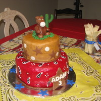 Horse Cake Chocolate cake with buttercream icing. I need to keep practicing on getting the icing smooth. I am a beginner. MMF horse and cactus. Many...