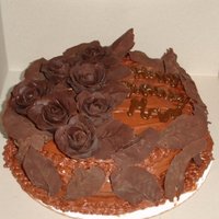 Chocolate Roses I made my mom this cake for her birthday. She loves chocolate! It's chocolate buttercream frosting. The roses are made with "...
