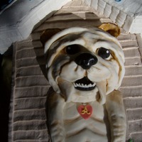 Bulldog In His House 