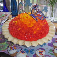 Butterfly Cake This is a piped chocolate butterfly atop a huge, buttercream covered 'flower'. I used chocolate dippers as the petals. This is...