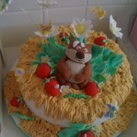 1St Birthday this was done for a little boys birthday it was to match his fave book