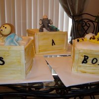 Delivery Of Baby Zoo Animals I created panels for the exterior and attached to the cakes.
