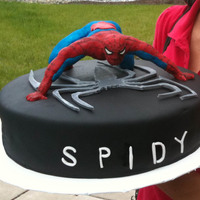 Spiderman Cake Spiderman was made with copper wire covered witih a drinking straw and then modeling chocolate; which was something I saw on a network...