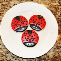 Ladybugs Red/Black Ladybugs and Pink/Green Ladybugs made with the NFSC recipe and Antonia74 Royal Icing!!