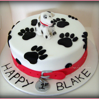 Doggy 1St Doggy theme cake. This is a 9 inch chocolate and white chocolate marble cake with chocolate ganache filling. Iced and decorated in fondant...