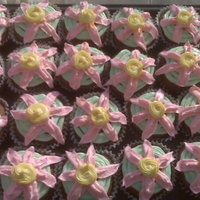 Springtime Cupcakes chocolate cupcakes with a strawberry preserve filling topped with strawberry flavored frosting (three colors, 1 flavor)