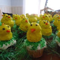 Easter Chicks chicks sitting in cupcakes with tinted coconut -chicks made from leftover cakes-made into balls , dipped in chocolate-covered with...