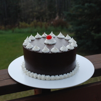Have A Very Cherry Birthday! I made this for our (my twin sister and I) birthday! Its a chocolate cake with cherry chunks, cherry whipped filling and covered in...