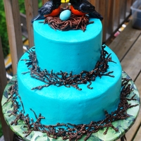 Bird Biologist Baby Shower Cake for a lady who (and her husband) are bird biologist. So, naturally, I went with a robin theme. White cake with lemon curd (top tier)...