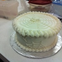 Spider Cake For cake decorating class.