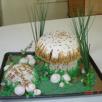 Mushroom My first 3D cake. I a made this for my mother's 75th birthday. She loves mushrooms! large mushroom cap is chocolate, stem and puffball...