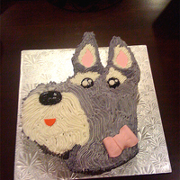 Schnauzer Birthday Cake This birthday cake was for a schnauzer lover. She was told her three little schnauzers had it made for her. ;)