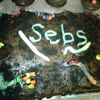 My Sons Birthday Cake... MY son loves bugs and all creepy crawling things...so this was his theme.