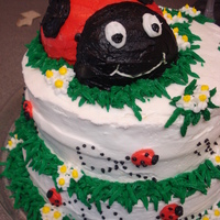 Lady Bug With Grass And Flowers 