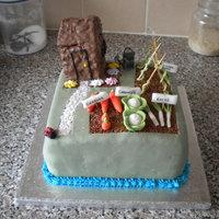 Allotment Cake Three layered vanilla sponge, shed made out of chocolate brownie coated in melted chocolate. "Compost" is chocolate sugar strands...