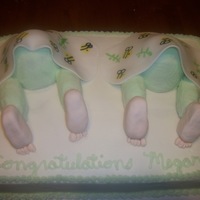 Twin Baby Bottoms made for my cousin. Her bedding was bee's so I painted some on the blankets. All buttercream except blankets and feet. Legs and feet...